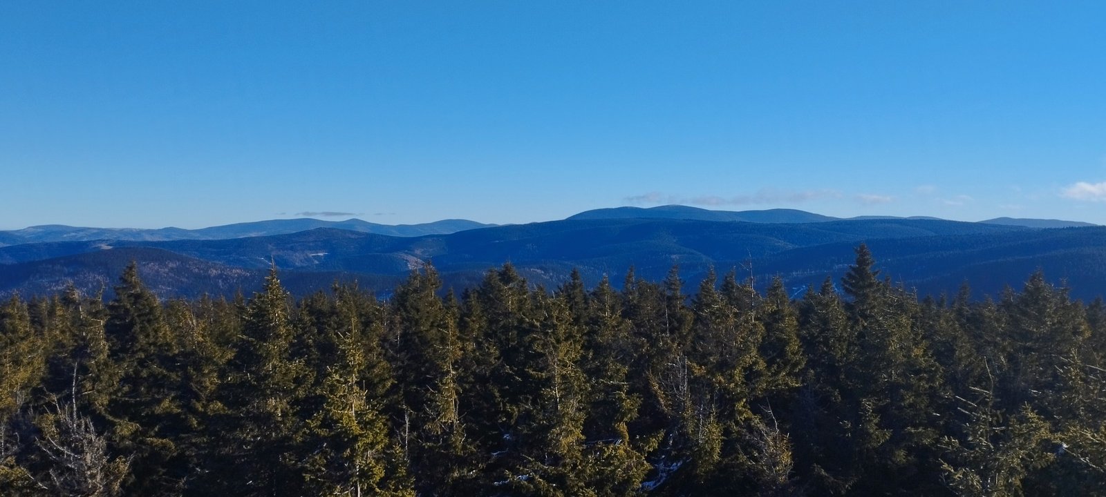 Panorama górskich grzbietów ponad lasem